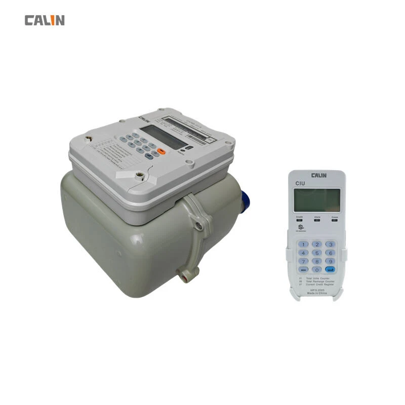 Split - Type Prepayment Gas Meter
